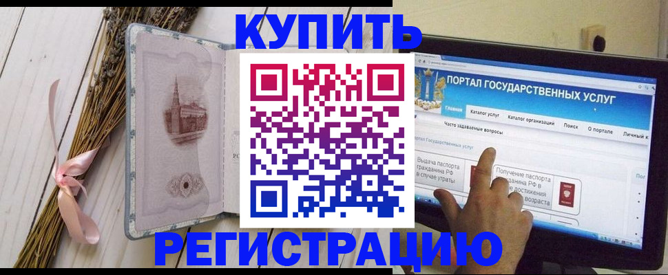 прописка поиск в Камышине